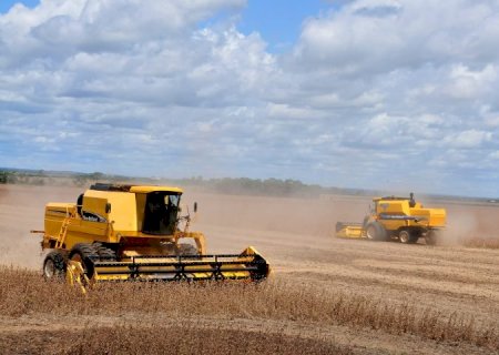 Valor Bruto da Produção agropecuária em Mato Grosso do Sul soma quase R$ 60 bilhões no ano