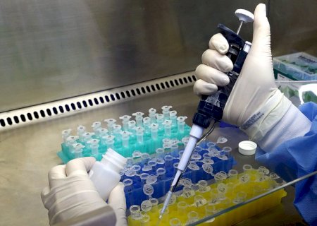 Estado confirma primeiro caso autóctone de Febre Oropouche