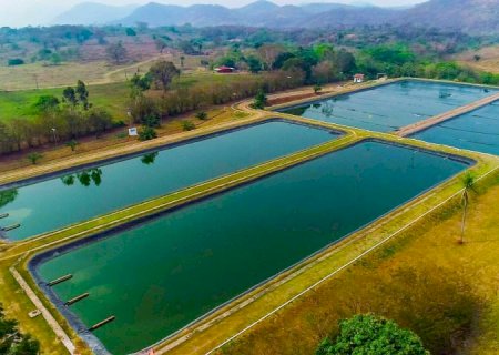 Sanesul preserva recursos naturais tratando esgoto