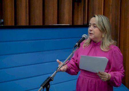 Melhorias em serviços públicos são solicitadas por Lia Nogueira