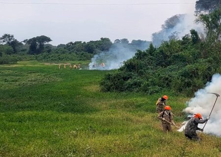 Em 12 dias, chuvas acima da média contribuem para controlar focos de incêndios no Pantanal de MS