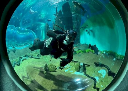 Opção de lazer: Bioparque Pantanal abrirá as portas no feriado com horário especial