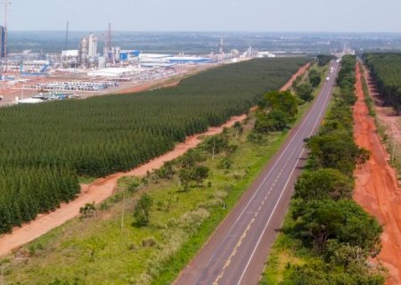 Com projeto robusto, Rota da Celulose tem expectativa de voltar ao mercado no primeiro trimestre de 2025
