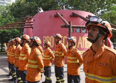Planejamento e atuação eficiente garantem proteção do bioma Pantanal durante todo o ano