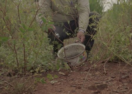 Mato Grosso do Sul avança no combate às arboviroses e projeta 7,6 milhões de visitas em 2025
