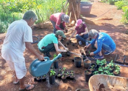 Farmácia Viva: Mato Grosso do Sul avança com a inclusão de fitoterápicos na saúde pública
