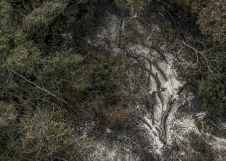 AGU cobra R$ 725 milhões de acusados por danos ambientais no Pantanal