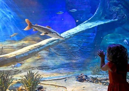 Bioparque divulga horário especial de Carnaval; local contará com apresentações musicais