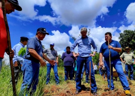 Inclusão Verde: Mato Grosso do Sul inova ao inserir a agricultura familiar no mercado de crédito de carbono