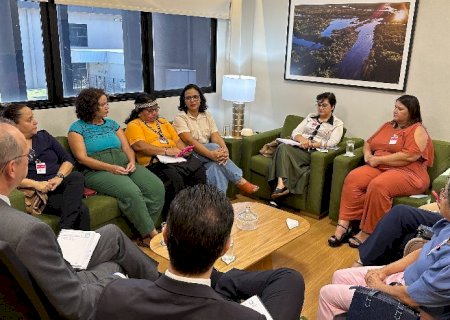 Movimento em defesa das mulheres: Deputada Gleice Jane participa de reunião com MPMS