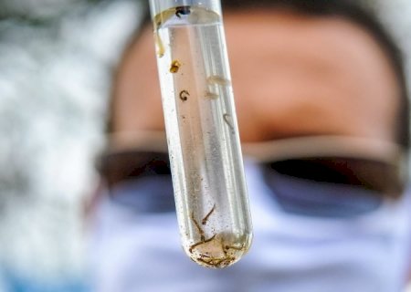 Boletim Epidemiológico: MS registra 1.234 casos confirmados de dengue