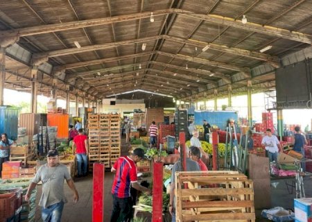 Com R$ 850 milhões comercializados no ano passado, Ceasa-MS reafirma importância na economia local
