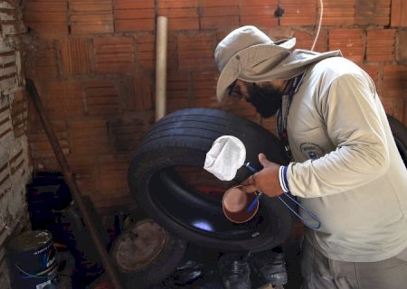 Boletim Epidemiológico: MS registra 5.117 casos confirmados de dengue
