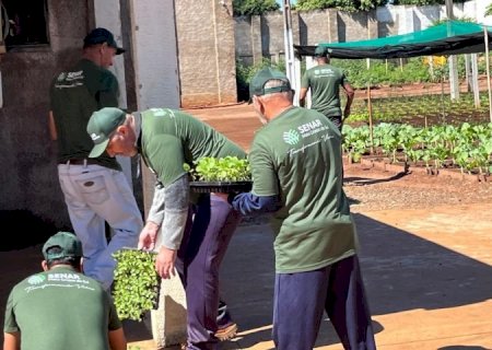 Capacitação em horticultura no presídio de Caarapó impulsiona geração de alimentos para instituições assistenciais