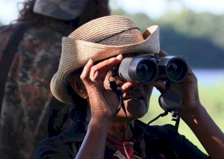 Mato Grosso do Sul reforça posição como importante destino de observação de aves no Avistar Brasil 2025