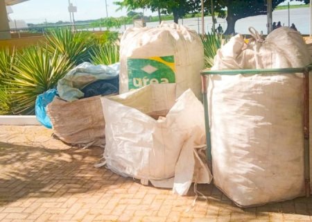 Sustentável: Festival América do Sul 2025 registra recorde na coleta de resíduos recicláveis