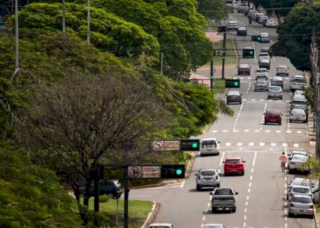 MS lidera ranking da população que mora em ruas arborizadas, diz IBGE