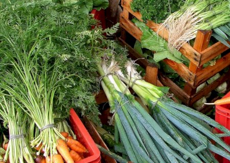 Custo de cesta básica ideal para uma pessoa chega a R$ 432 em abril