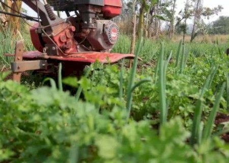 Plano Safra da Agricultura Familiar prev&ecirc; recorde de R$ 89 bi liberados