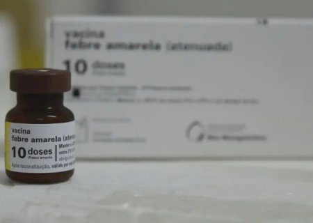 MS completa 10 anos sem casos de febre amarela humana e mantém alerta com vacinação
