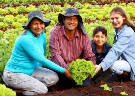 Novo recorde nas vendas da agricultura familiar é projetado após movimentação de R$ 5,1 milhões em MS