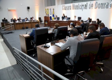 Câmara aprova projeto de lei que pune ‘abandono disfarçado’ de animais com multa de até R$ 6 mil