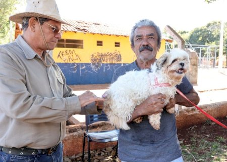 Prefeitura leva vacina antirrábica para animais sob cuidados em Ong’s e de protetores
