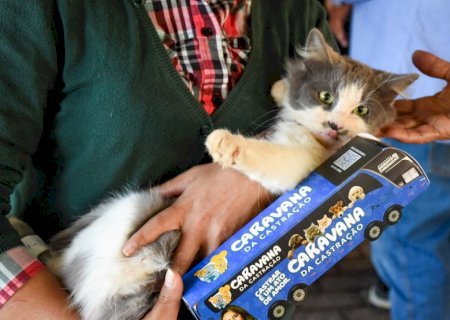 Prefeitura e Estado realizam Caravana da Castração para 1.500 cães e gatos