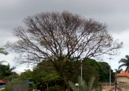 Semana começa com temperaturas amenas e chuva em MS