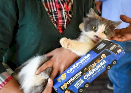Governo do Estado realiza mutirão de castração de animais em Caarapó