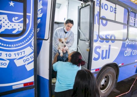 Prefeitura e Estado realizam Caravana da Castração entre os dias 3 e 12 de novembro