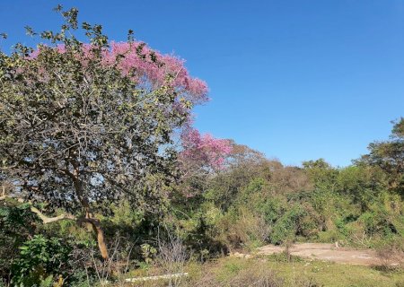 Prefeitura fará pesquisa socioambiental no Parque Natural Municipal do Paragem