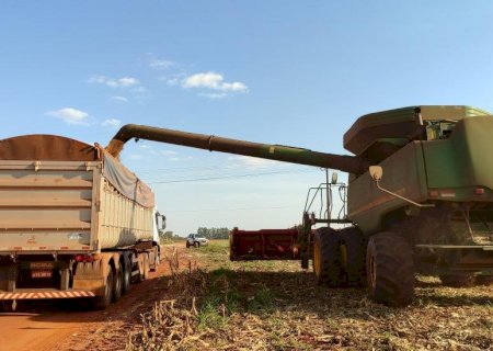 Produção agropecuária de MS cresce 24% e movimenta R$ 76 bilhões