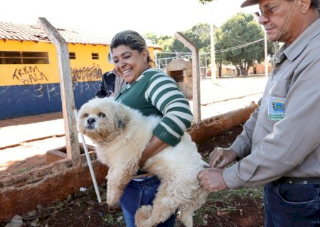 Prefeitura segue com vacinação antirrábica na área rural nesta semana; veja pontos