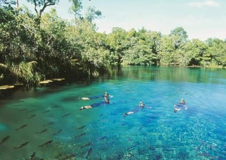 Bonito e Pantanal no Top 10 dos melhores destinos do Brasil