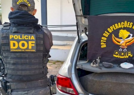 DOF apreende 1 kg de cocaína e prende motorista em flagrante na BR-262 em Corumbá