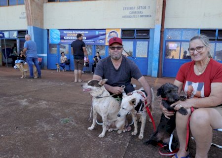 Caravana da Castração atendeu 545 cães e gatos em Dourados em apenas 4 dias