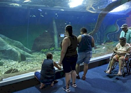 Bioparque Pantanal recebe selo internacional “ouro' por sustentabilidade e se destaca entre atrativos turísticos mundiais