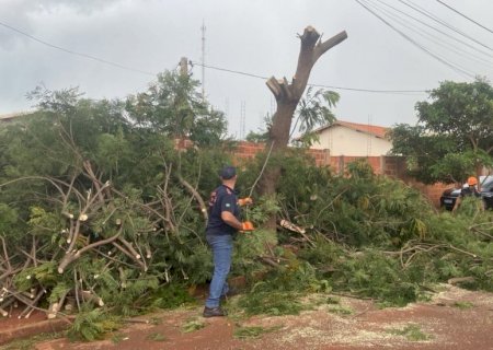 Prefeitura e Defesa Civil atuam para reduzir impactos do temporal em Dourados