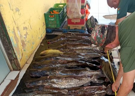 Grupo é preso com 313 quilos de pescado irregular e posse de arma de fogo em MS