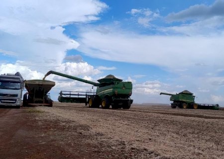 Colheita da soja e plantio do milho avançam em ritmo mais lento em MS