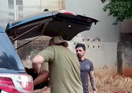 Polícia Civil e Guarda Municipal prendem casal por espancar criança de um ano e causar lesões graves em Dourados