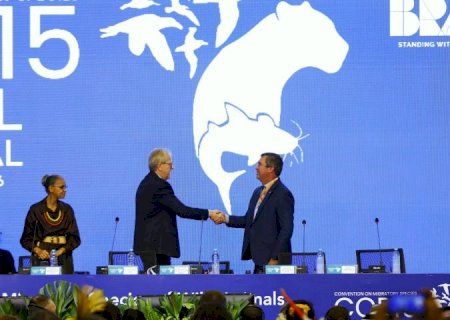 Pantanal no centro do mundo: COP15 começa com protagonismo de MS e mobilização global pela biodiversidade