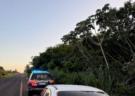 PRF apreende cigarros e pneus na BR-060