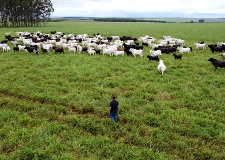 Com maior crescimento do país, agro de MS é fruto de incentivo, modernidade e sucesso do homem do campo
