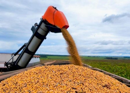 Colheita da soja em Mato Grosso do Sul alcança 82% da área e plantio do milho chega a 84,6%