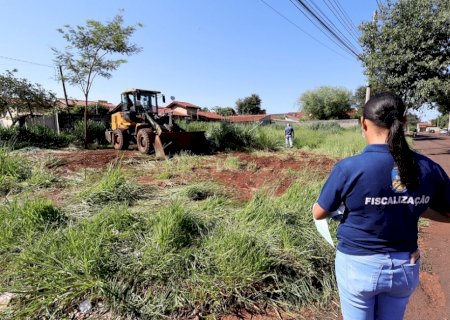Prefeitura inicia limpeza de terrenos baldios após descumprimento de notificações