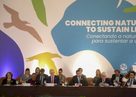 Com atuação para o desenvolvimento e conservação ambiental, MS sedia encontro de líderes globais que antecede COP15