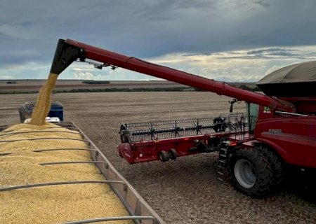 Crédito rural em MS soma R$ 1,1 bilhão em março e revela cautela do produtor