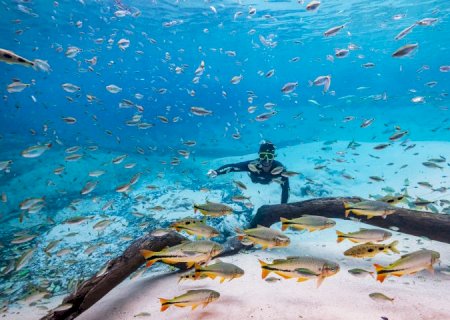 Turismo de MS reforça protagonismo e é destaque nacional em três diferentes prêmios em março